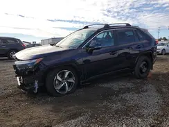 JTMCB3FV1SD243128 2025 TOYOTA RAV 4