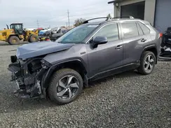 JTMCB3FV2PD137665 2023 TOYOTA RAV 4
