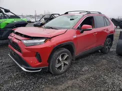 JTMCB3FV4RD176552 2024 TOYOTA RAV 4