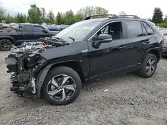 JTMCB3FV4RD207587 2024 TOYOTA RAV 4