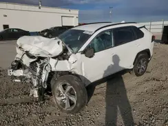 JTMCB3FV7SD263982 2025 TOYOTA RAV 4