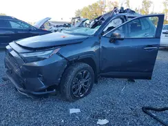 JTMD6RFV0PD094858 2023 TOYOTA RAV 4