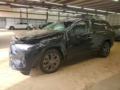 JTMD6RFV0RD129014 2024 TOYOTA RAV 4