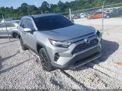 JTMD6RFV0RD137792 2024 TOYOTA RAV 4
