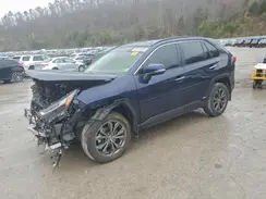 JTMD6RFV0RD145732 2024 TOYOTA RAV 4