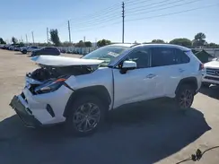 JTMD6RFV0RD563594 2024 TOYOTA RAV 4