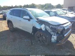 JTMD6RFV0SJ092750 2025 TOYOTA RAV 4