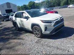 JTMD6RFV1ND055029 2022 TOYOTA RAV 4