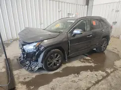 JTMD6RFV1PD094691 2023 TOYOTA RAV 4