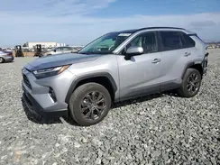 JTMD6RFV1PD106225 2023 TOYOTA RAV 4