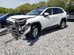 JTMD6RFV1PD112350 2023 TOYOTA RAV 4