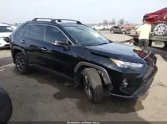 JTMD6RFV1RD126672 2024 TOYOTA RAV 4