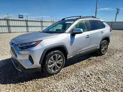 JTMD6RFV1RD129412 2024 TOYOTA RAV 4