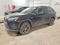 JTMD6RFV1RD145531 2024 TOYOTA RAV 4
