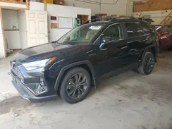 JTMD6RFV1RD146646 2024 TOYOTA RAV 4