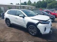 JTMD6RFV1RJ044930 2024 TOYOTA RAV 4