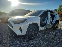 JTMD6RFV1RJ048797 2024 TOYOTA RAV 4