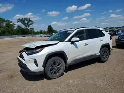 JTMD6RFV1RJ052249 2024 TOYOTA RAV 4