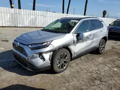 JTMD6RFV1RJ062067 2024 TOYOTA RAV 4