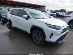 JTMD6RFV1SJ074600 2025 TOYOTA RAV 4
