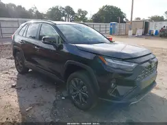 JTMD6RFV1SJ084026 2025 TOYOTA RAV 4