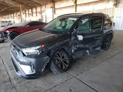 JTMD6RFV2PD079813 2023 TOYOTA RAV 4