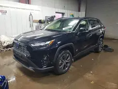 JTMD6RFV2PD105200 2023 TOYOTA RAV 4
