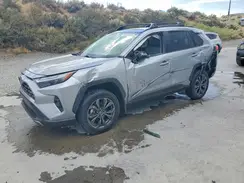 JTMD6RFV2RD137177 2024 TOYOTA RAV 4