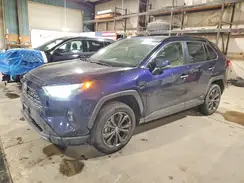 JTMD6RFV2RJ048923 2024 TOYOTA RAV 4