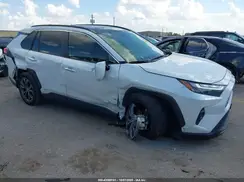 JTMD6RFV2SJ065128 2025 TOYOTA RAV 4