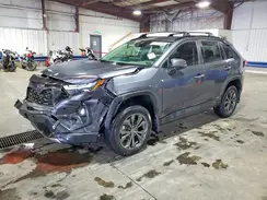 JTMD6RFV3PD097222 2023 TOYOTA RAV 4
