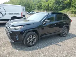 JTMD6RFV3PD547192 2023 TOYOTA RAV 4