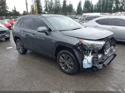 JTMD6RFV3RD116905 2024 TOYOTA RAV 4