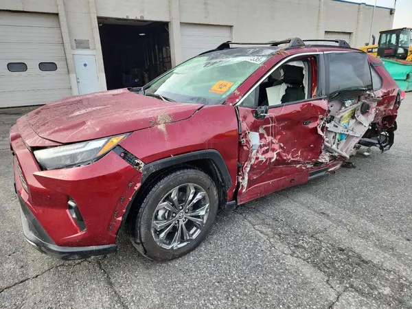 JTMD6RFV3RD121666 2024 TOYOTA RAV 4 - Image 1