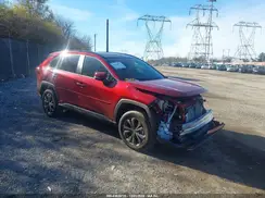 JTMD6RFV3RD125152 2024 TOYOTA RAV 4