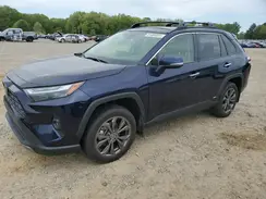 JTMD6RFV3RD126446 2024 TOYOTA RAV 4
