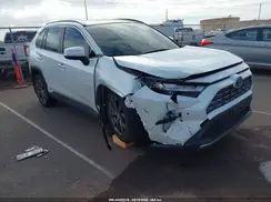 JTMD6RFV3RJ043665 2024 TOYOTA RAV 4