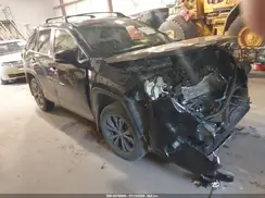 JTMD6RFV3SD159369 2025 TOYOTA RAV 4