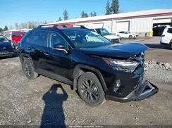 JTMD6RFV3SJ095500 2025 TOYOTA RAV 4