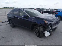 JTMD6RFV4PD098959 2023 TOYOTA RAV 4