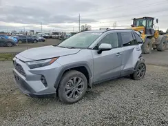 JTMD6RFV4PD100824 2023 TOYOTA RAV 4