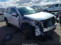 JTMD6RFV4PD546469 2023 TOYOTA RAV 4