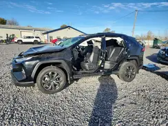 JTMD6RFV4RD120803 2024 TOYOTA RAV 4