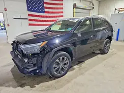JTMD6RFV4RD142140 2024 TOYOTA RAV 4