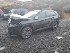JTMD6RFV4RJ044839 2024 TOYOTA RAV 4