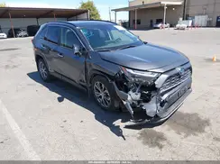 JTMD6RFV4RJ054528 2024 TOYOTA RAV 4