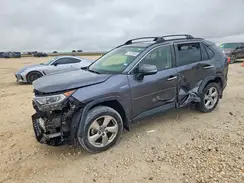 JTMD6RFV5MD045392 2021 TOYOTA RAV 4