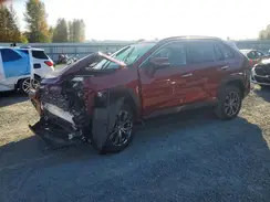 JTMD6RFV5PD111329 2023 TOYOTA RAV 4