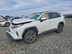 JTMD6RFV5PD544567 2023 TOYOTA RAV 4