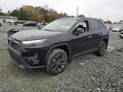 JTMD6RFV5RD128148 2024 TOYOTA RAV 4